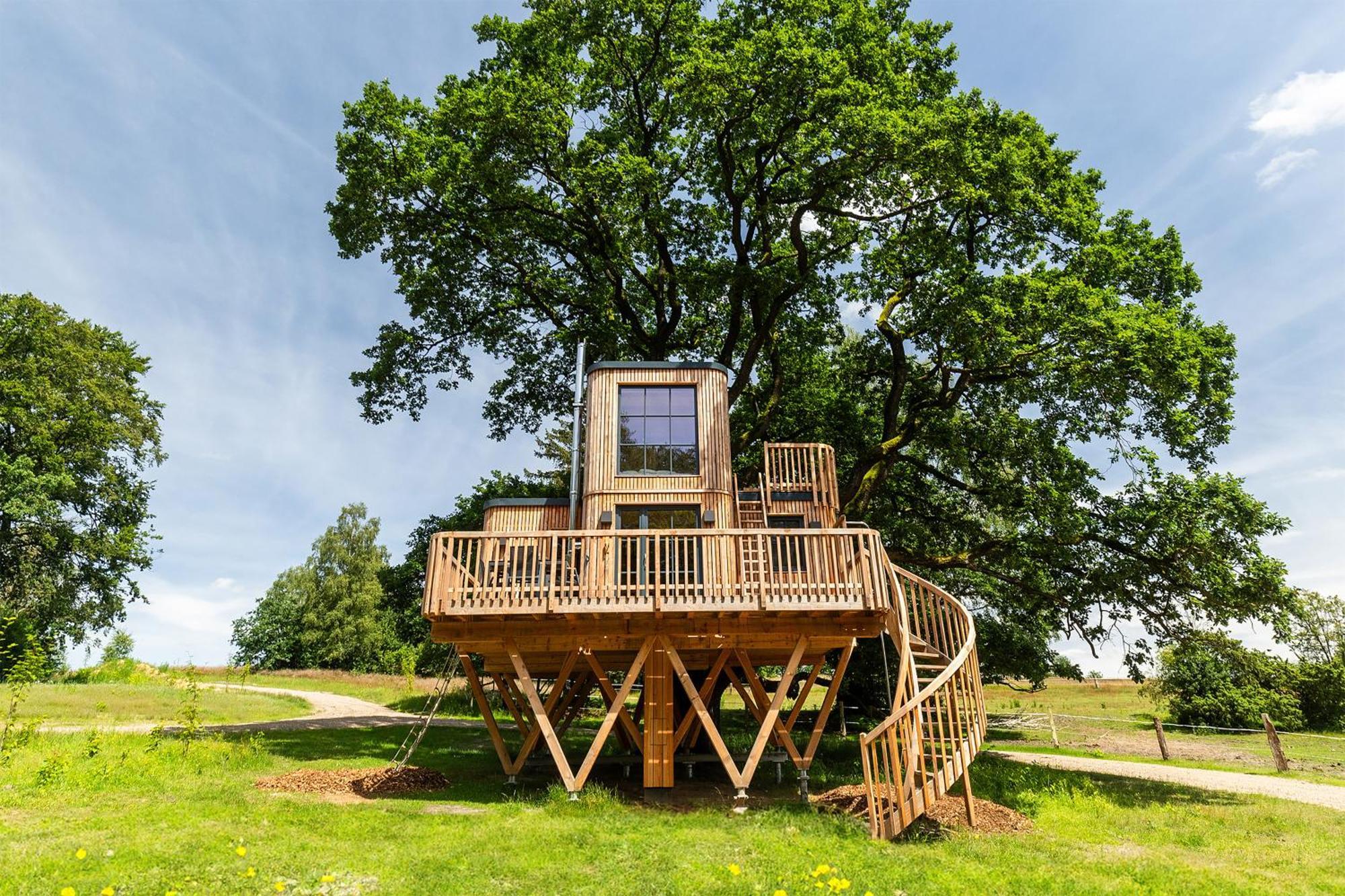 Apartamento Heide Ferien - Hof Bockelmann Bispingen Habitación foto