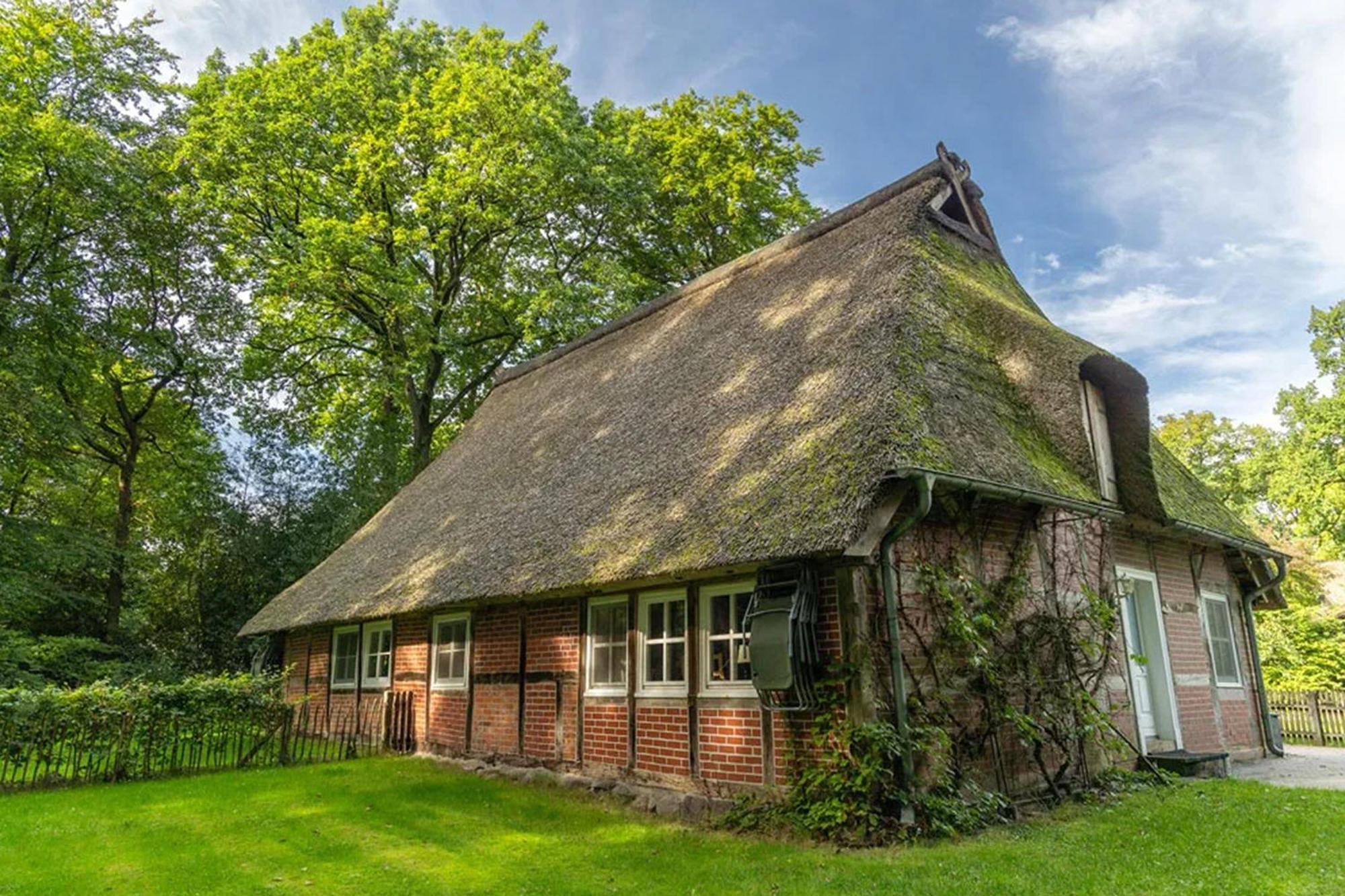 Apartamento Heide Ferien - Hof Bockelmann Bispingen Habitación foto