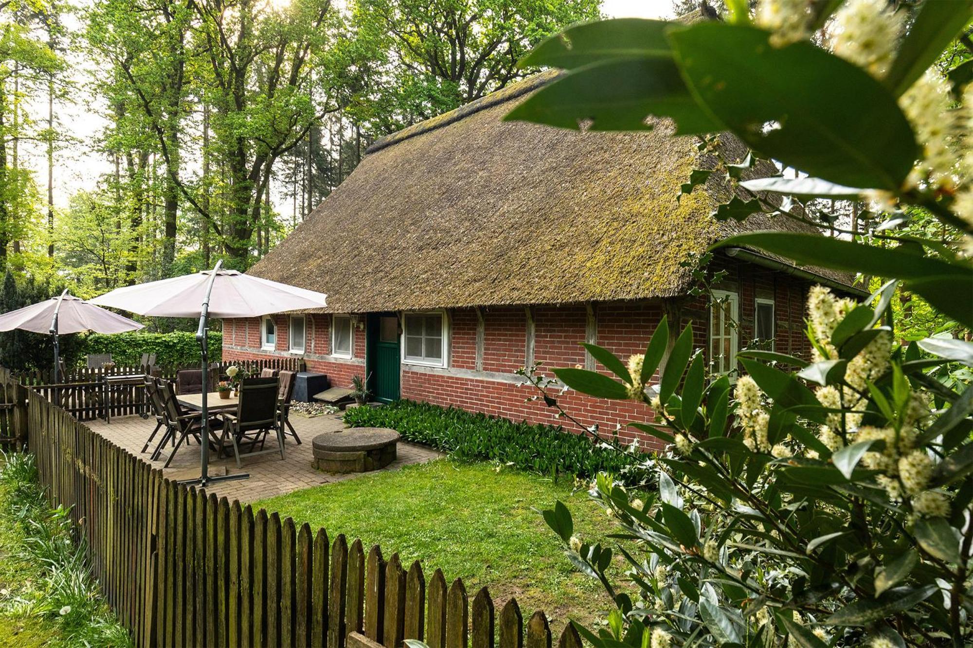 Apartamento Heide Ferien - Hof Bockelmann Bispingen Habitación foto