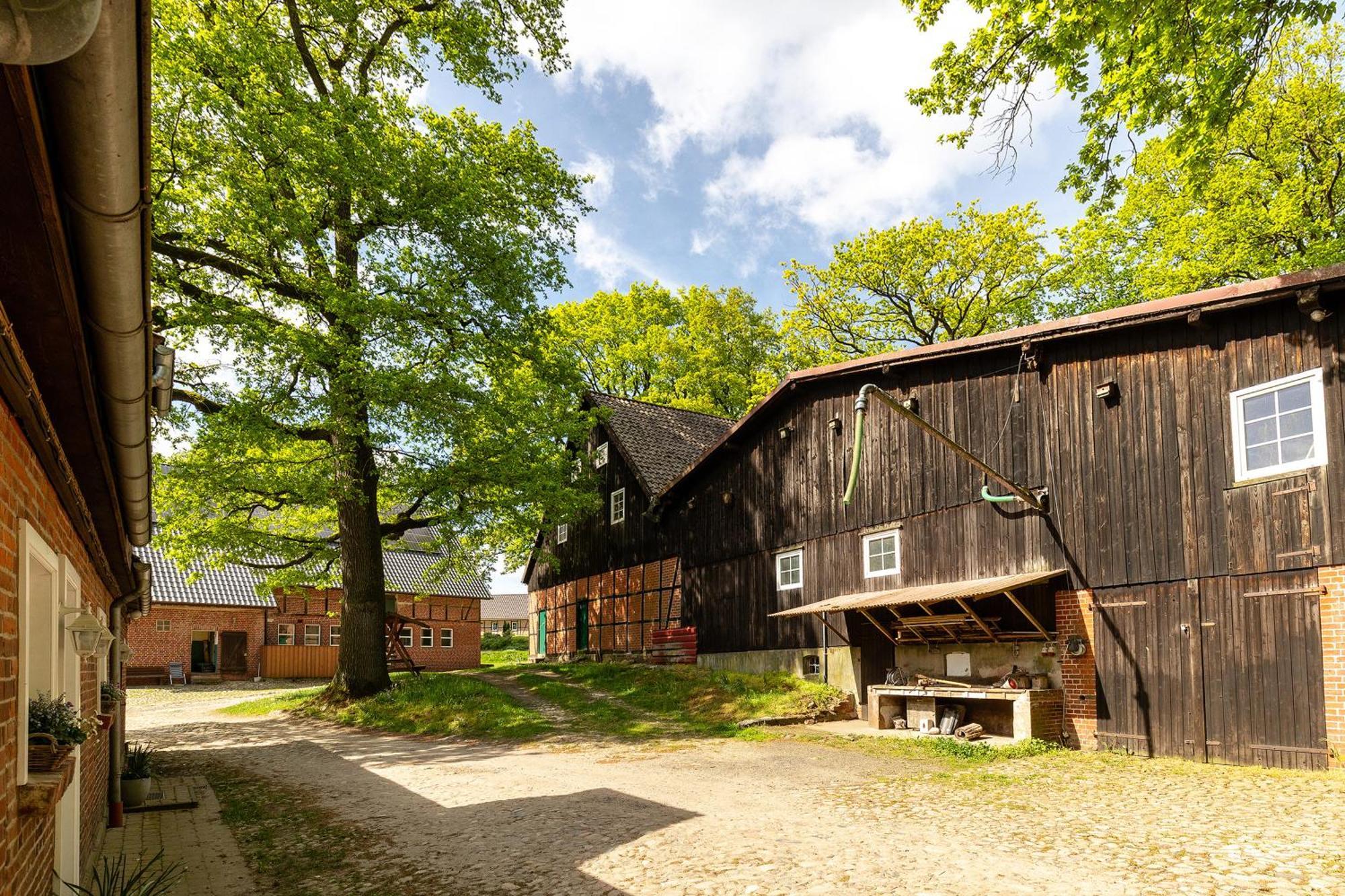 Apartamento Heide Ferien - Hof Bockelmann Bispingen Exterior foto