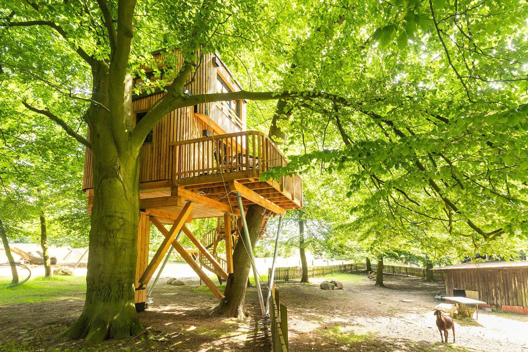 Apartamento Heide Ferien - Hof Bockelmann Bispingen Exterior foto