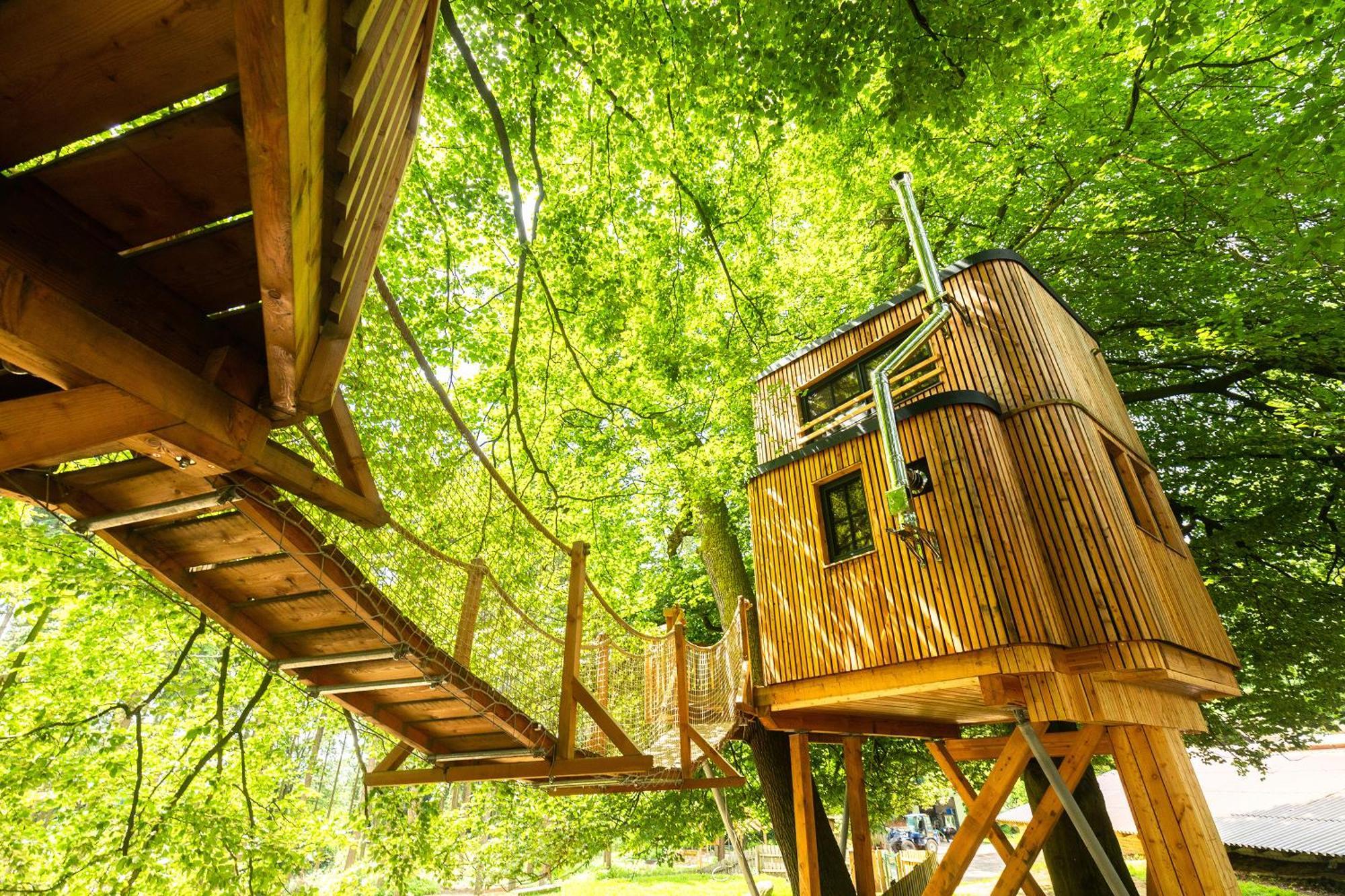 Apartamento Heide Ferien - Hof Bockelmann Bispingen Habitación foto