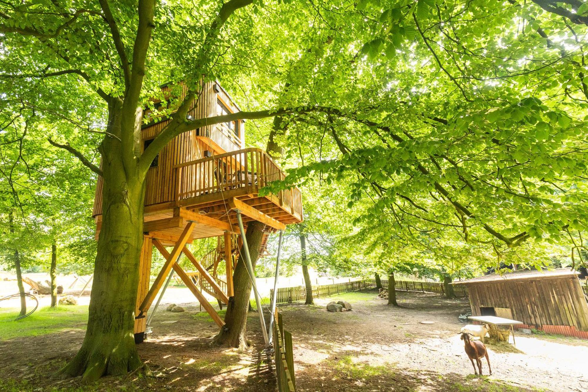 Apartamento Heide Ferien - Hof Bockelmann Bispingen Habitación foto