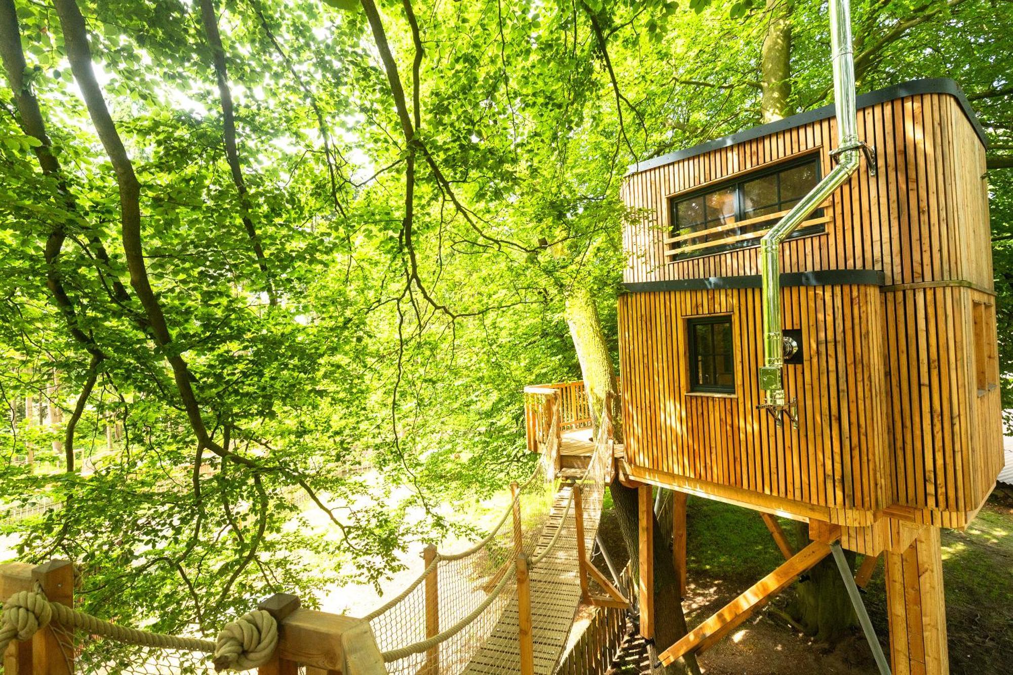 Apartamento Heide Ferien - Hof Bockelmann Bispingen Exterior foto